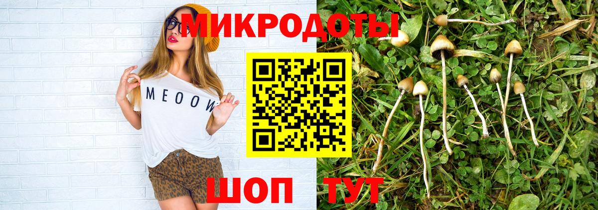 Электросталь  Галлюциногенные грибы MAGIC MUSHROOMS  Вход с VPN 