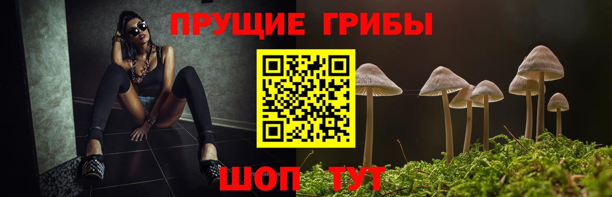 Псилоцибиновые грибы прущие грибы Электросталь